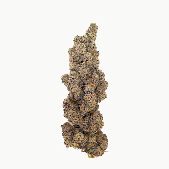Crops Cannabis - Gush Kush (Gush Mints) - 1