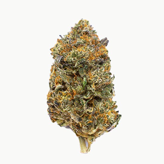 Crops Cannabis - Jon Woo - 1