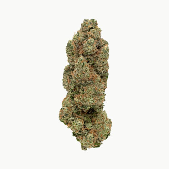 Crops Cannabis - Tiny Umbrellas (Papaya Bomb) - 1