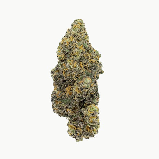 Crops Cannabis - Platinum Bird - 1