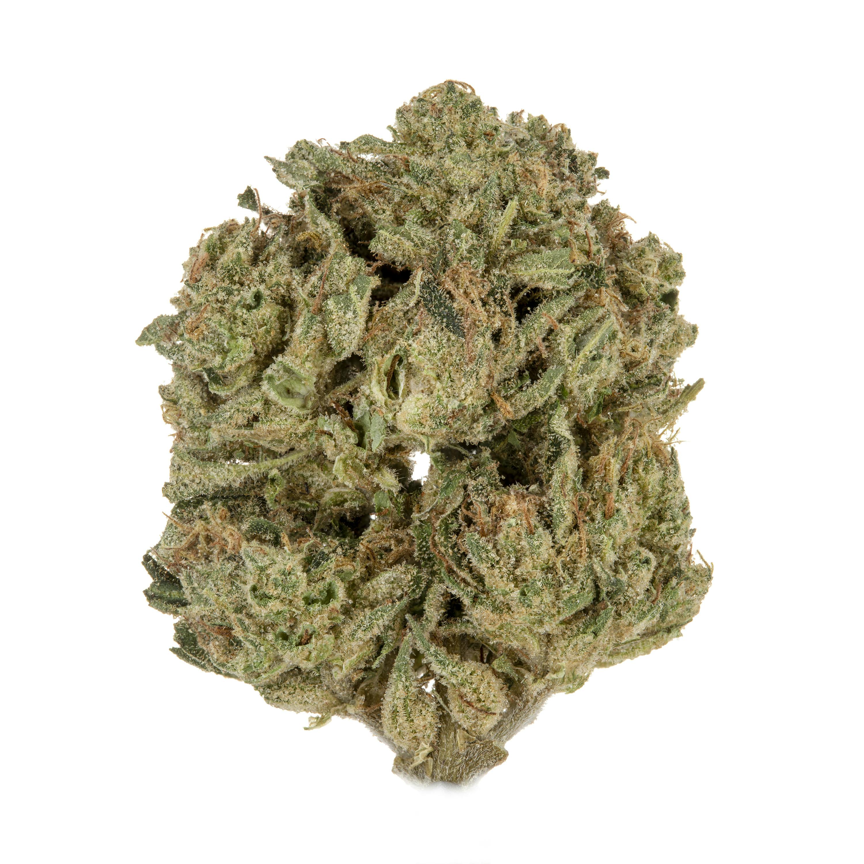 Casacanna - Legend OG 14g - 1