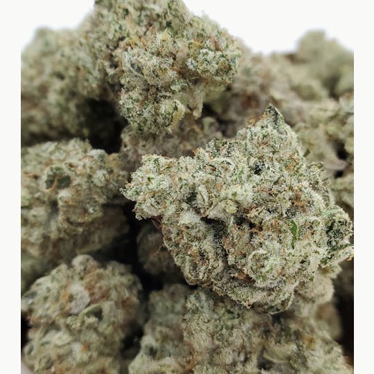 World Class Cannabis - London OG 14g - 1