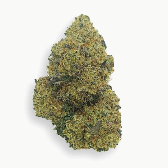 Crops Cannabis - Grasshopper - 1