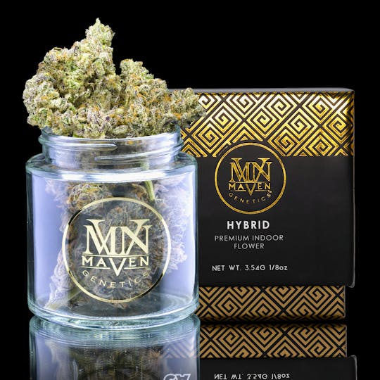 Maven Genetics - Paradiso - 1