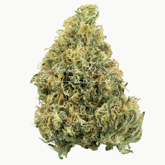 Grow West Cannabis Company - Lambsbread | Gold | Trimmed Flower - 1