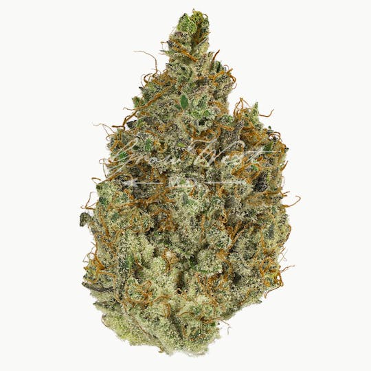 Grow West Cannabis Company - Neapolitan Space Cream | Gold | Trimmed Flower - 1