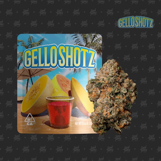 Seed Junky - GELLO SHOTZ - 3.5G Smalls - 1