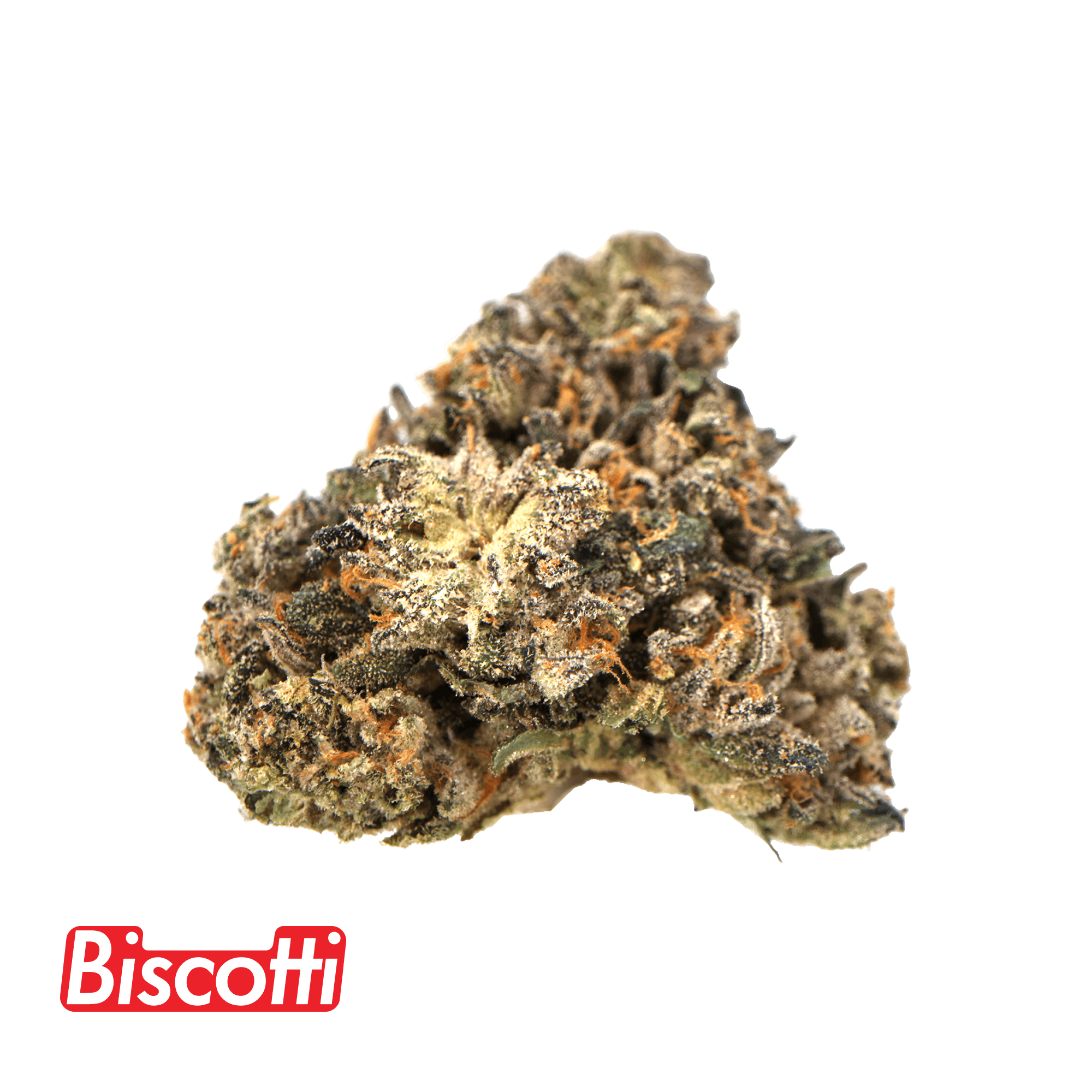 Traditional - Traditional - Biscotti Minis 5g - 1