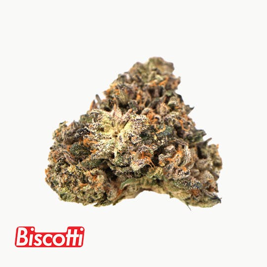 Traditional - Traditional - Biscotti Minis 5g - 1