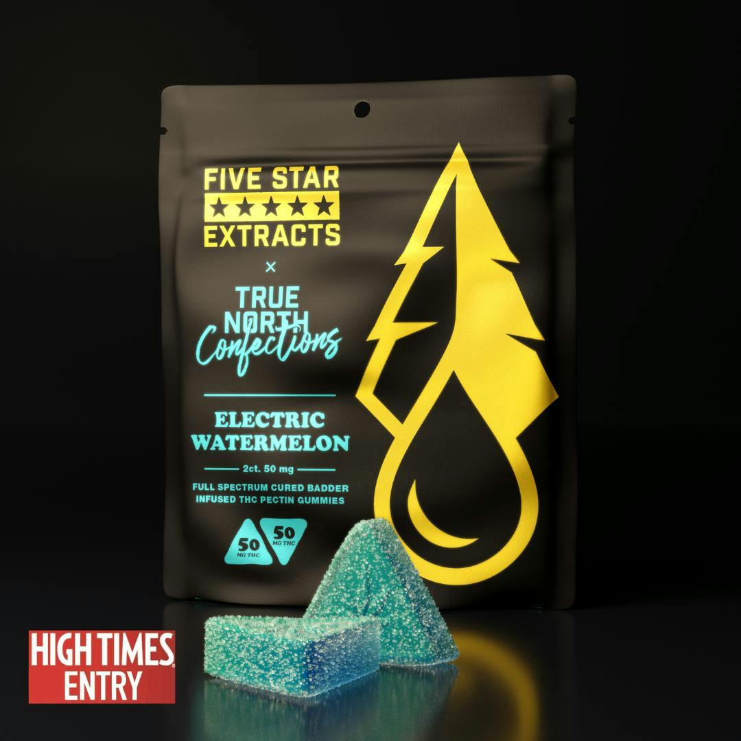 True North Collective MI - True North x FSE | Electric Watermelon Gummies | 100mg | 2ct | 50mg/ea - 1