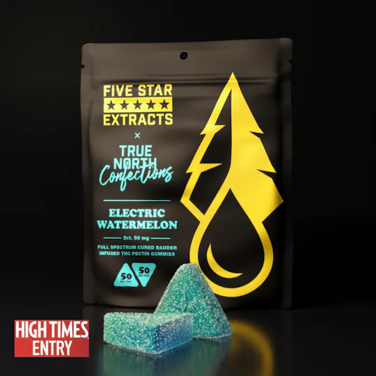 True North Collective MI - True North x FSE | Electric Watermelon Gummies | 100mg | 2ct | 50mg/ea - 1