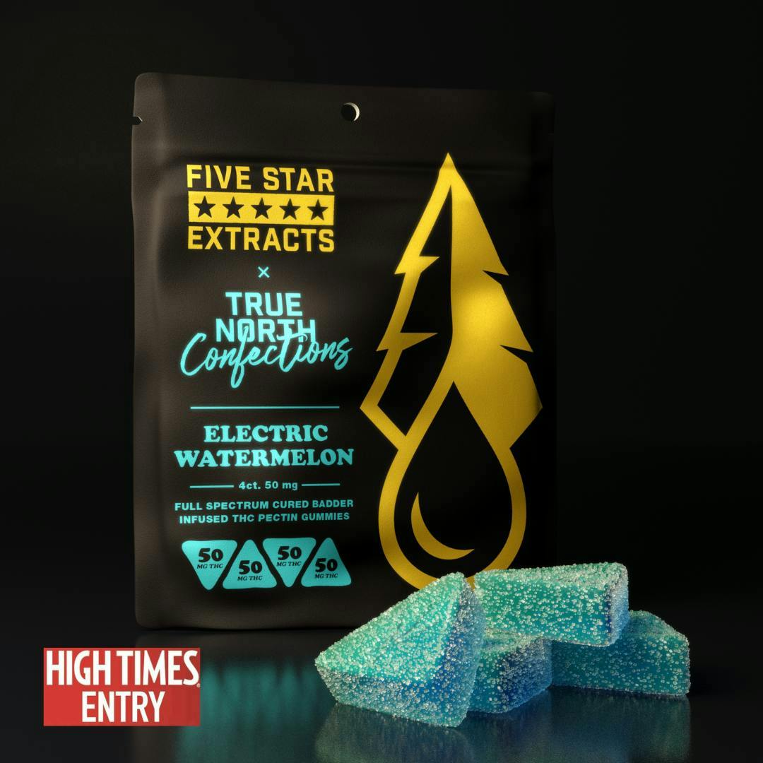 True North Collective MI - True North x FSE | Electric Watermelon Gummies | 200mg | 4ct | 50mg/ea - 1