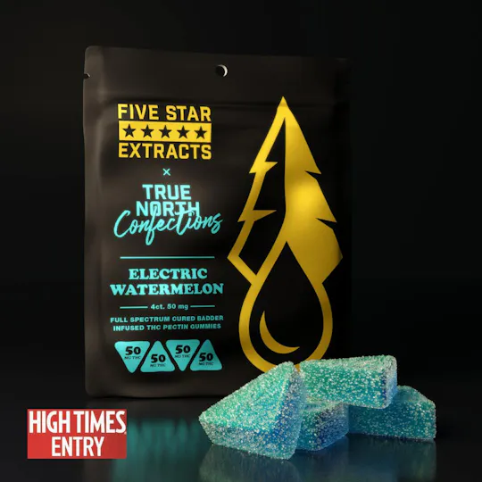 True North Collective MI - True North x FSE | Electric Watermelon Gummies | 200mg | 4ct | 50mg/ea - 1