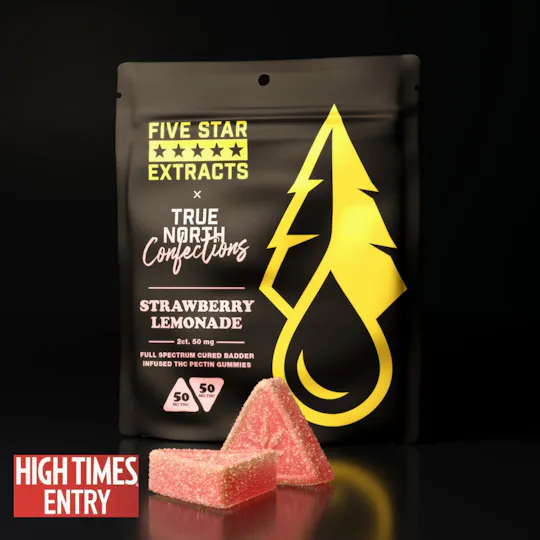 True North Collective MI - True North x FSE | Strawberry Lemonade Gummies | 100mg | 2ct | 50mg/ea - 1
