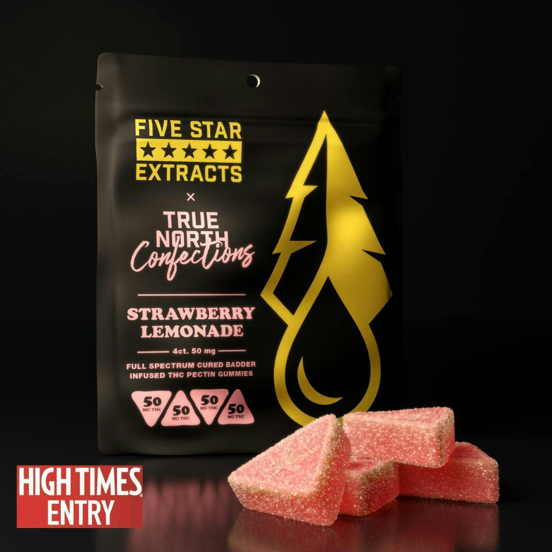 True North Collective MI - True North x FSE | Strawberry Lemonade Gummies | 200mg | 4ct | 50mg/ea - 1
