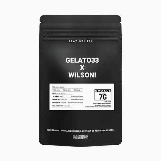 STIIIZY - GELATO33 X WILSON! - 7G - 1