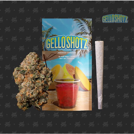 Seed Junky - GELLO SHOTZ (1G Pre-Roll) - 1