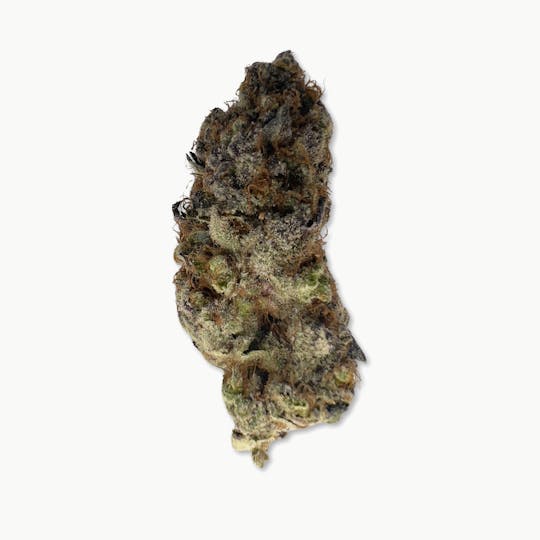 Indico - Funk Mountain - Indico - 1