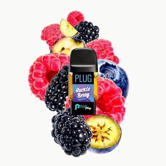 PLUGPLAY™ - VAPE - 1g PLUG™ Washington: Huckleberry - 1