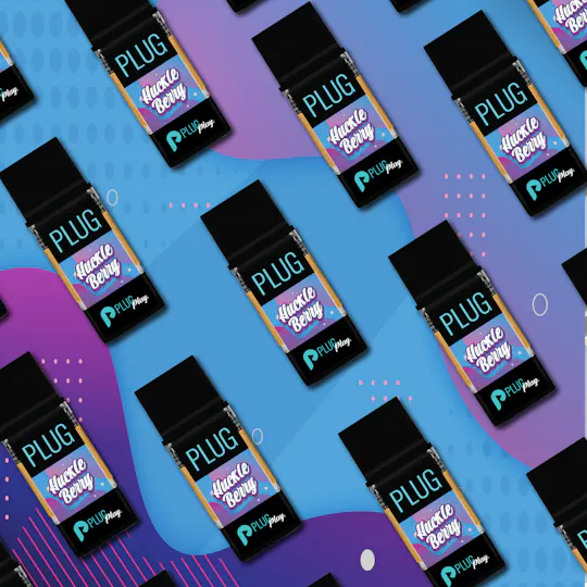 PLUGPLAY™ - VAPE - 1g PLUG™ Washington: Huckleberry - 1