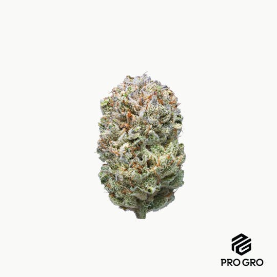Pro Gro - Outlaw Glue - 1