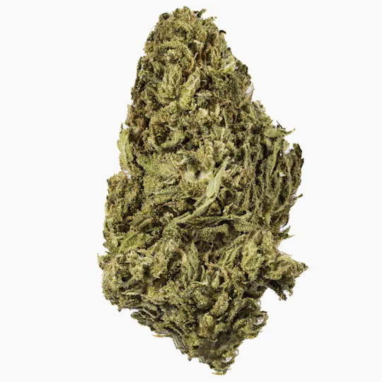 West Coast Cure - Laughing Gas - 14G Premium Flower - 1