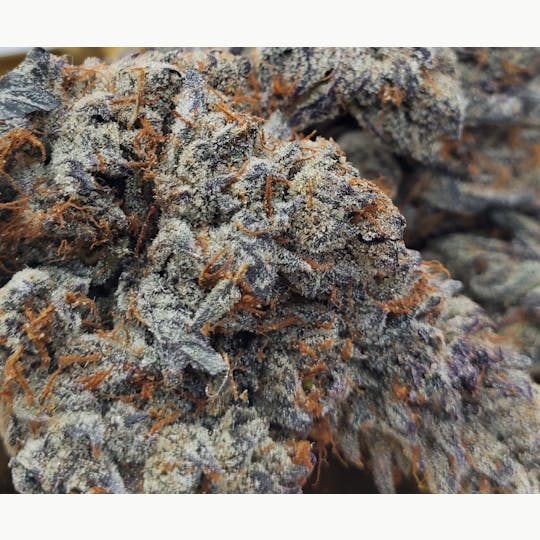 World Class Cannabis - Jelly Rancher - 1