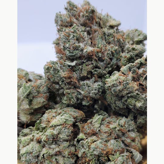 World Class Cannabis - White Rhino - 1