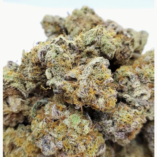 World Class Cannabis - Dosi MAC - 1