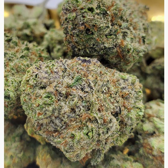 World Class Cannabis - Gelato - 1