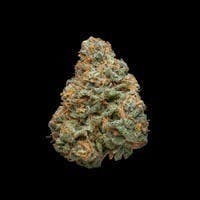 Smoakland - Smoakland | Space Runtz | Big Buds | 7g - 1