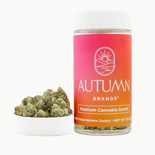 Autumn Brands - Biscotti BX1 Premium Smalls 14 grams - 1