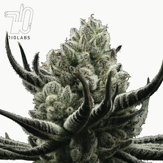 710 Labs - Cake Crasher - 14g Flower - 1