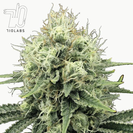 710 Labs - SB 36 #40 - Flower - 1
