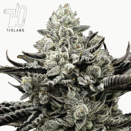 710 Labs - C. Chrome - 1