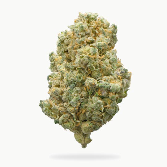 Uplyfted Cannabis Co - Spritzer Bulk- Deli - 1