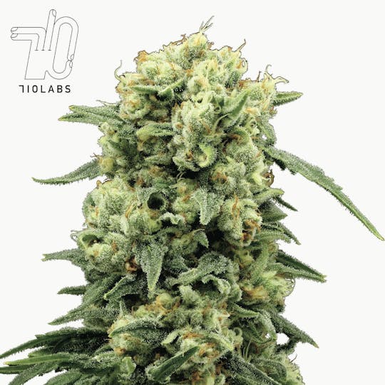 710 Labs - Odder Popz Flower - 1
