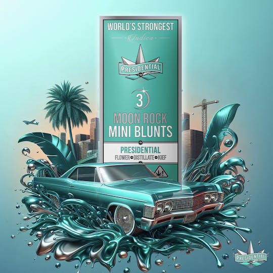 Presidential - Presidential Pee-Wee Moon Rock Blunts - Presidential (2.1g) - 1