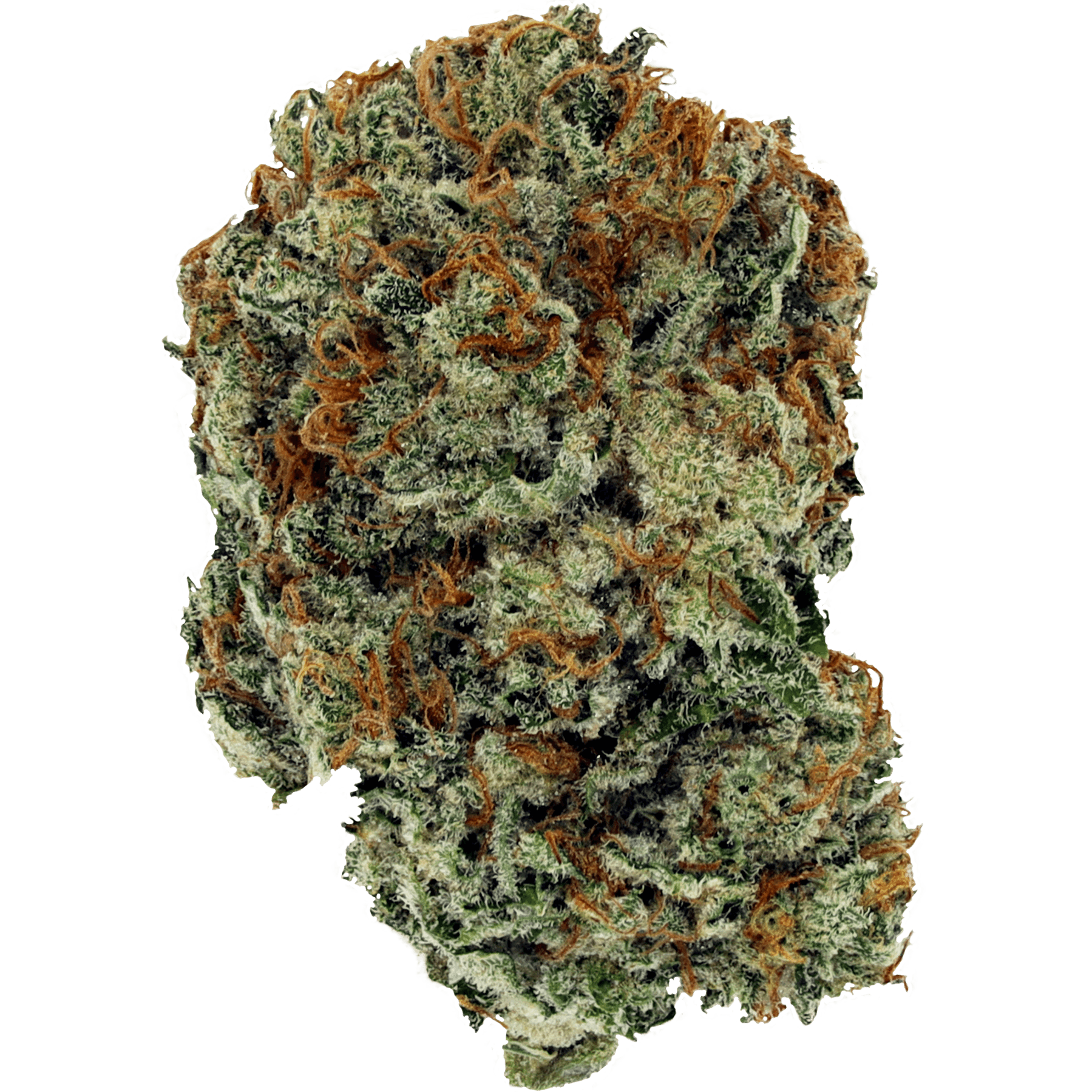 GreenSeal Cannabis Co - Bonfire Golden Grape - 3.5g Flower - Ontario - 1