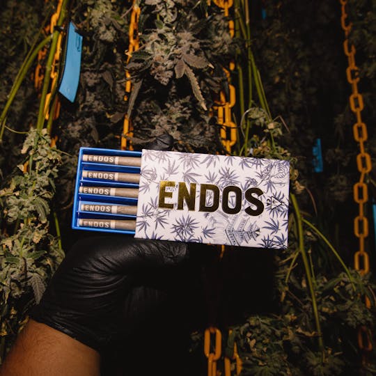 ENDOS - Motorbreath 5 Pack Pre-Rolls 5g - 1