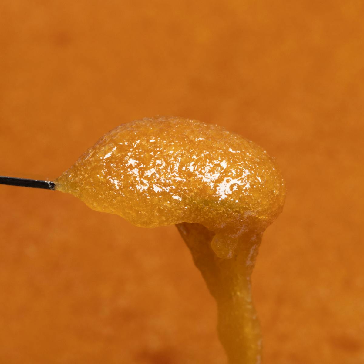 Theraplant - Churliva T79.8 CR 18292 - 1