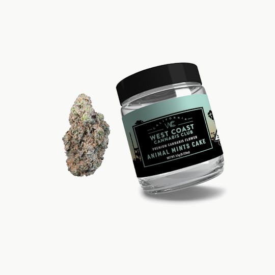 West Coast Cannabis Club - WCC | Animal Mints Cake - 1
