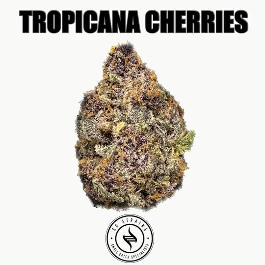 SD STRAINS - SD Strains Tropicana Cherries 3.5g - 1