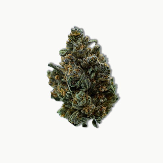 Common Citizen - Common Citizen Gelato Cookies PrePackaged 7g - 1