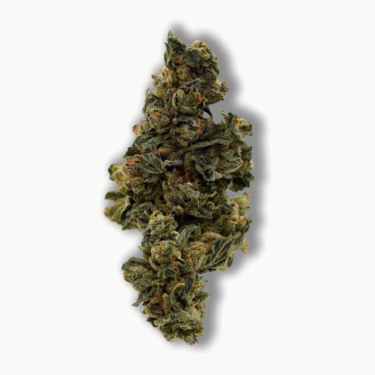 Common Citizen - Common Citizen Gelato Dream PrePackaged 7g - 1