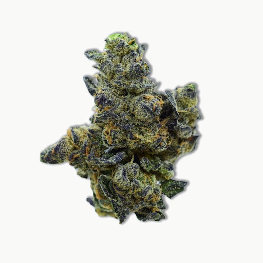 Common Citizen - Common Citizen Emergen-C PrePackaged 3.5g - 1