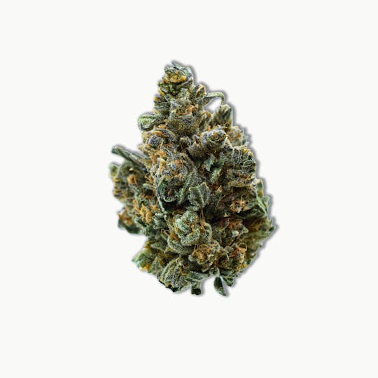 Common Citizen - Common Citizen Gelato Cookies PrePackaged 3.5g - 1