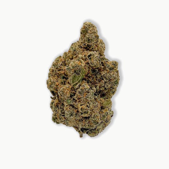 Common Citizen - Common Citizen Lemon Cherry Gelato PrePackaged 3.5g - 1