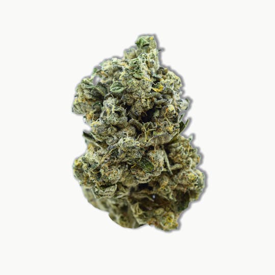 Common Citizen - Common Citizen Motor Cake PrePackaged 3.5g - 1