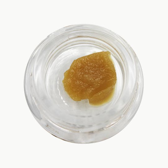 Vivid - Vivid - Biscotti Gelato Live Badder - Indica Hybrid - 1